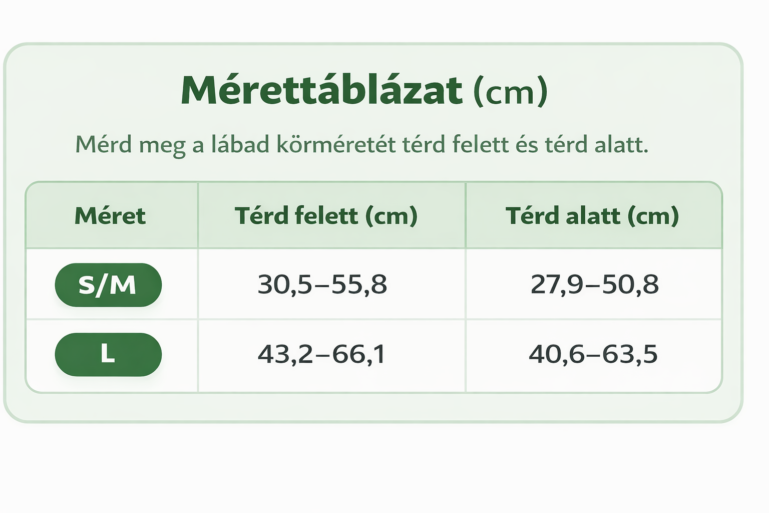Wellnee térdrögzítő - Image 4